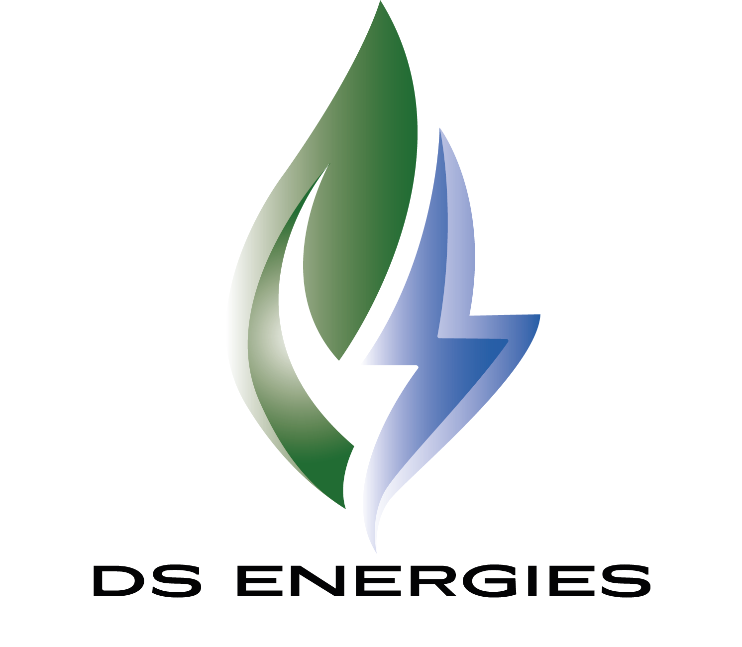 DS ENERGIES